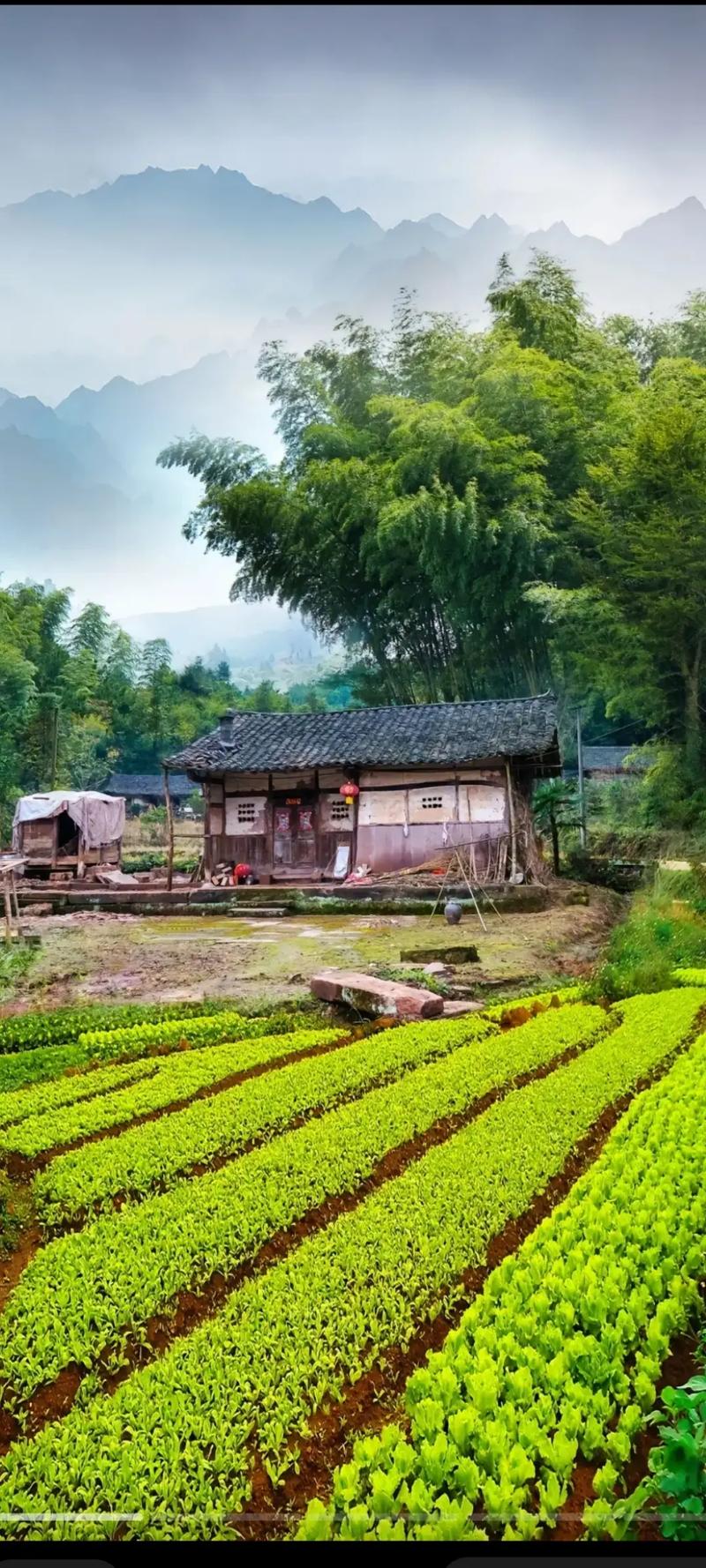 全南乡村，绿色田园中的诗意栖息地