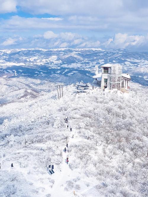 冬日漫步釜山，探寻韩国风情与自然美景的完美融合