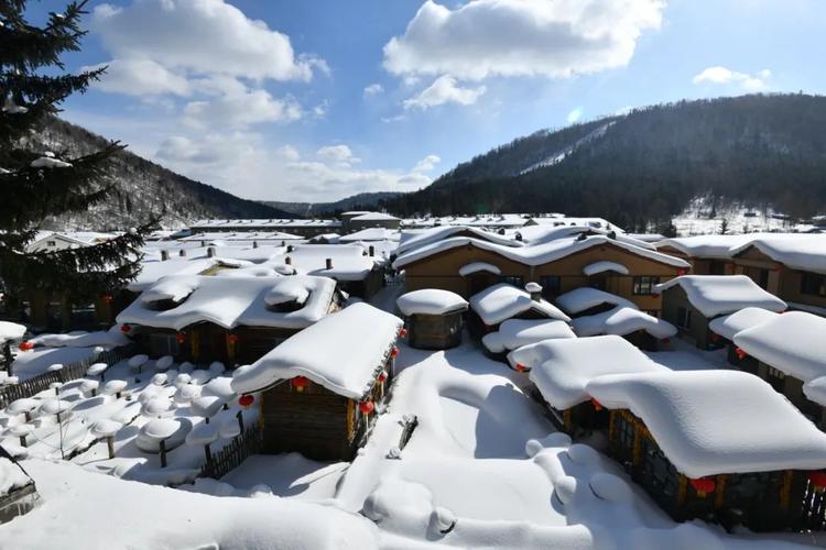 冬日莫干山,探寻江南雪景，体验诗意田园生活