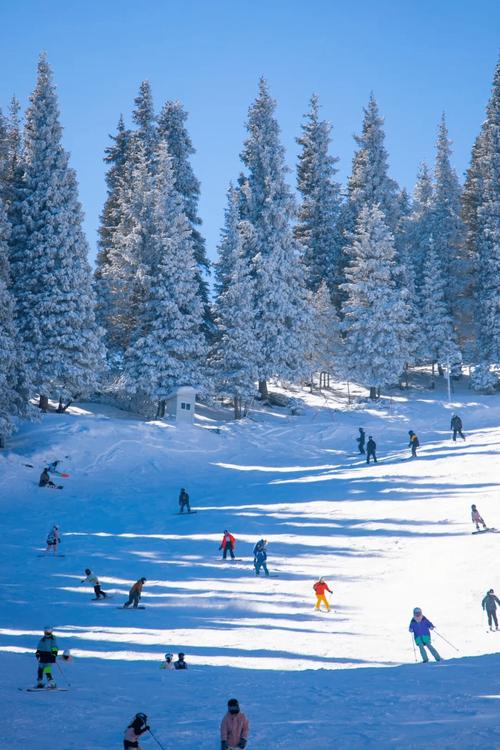 加州滑雪胜地大盘点,冬日仙境，畅享滑雪乐趣