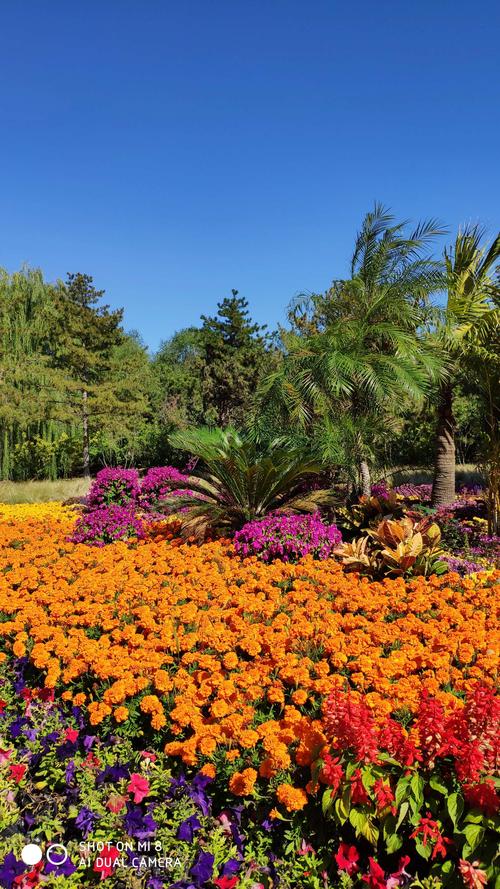 北京花草公园,城市绿洲中的休闲胜地