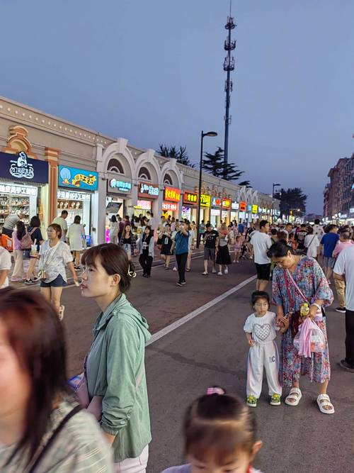 北戴河刘庄夜市的独特魅力,夜幕降临，美食与文化的盛宴