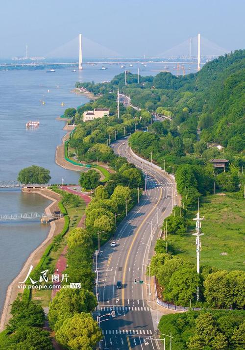 南京对岸公园,山水画卷中的城市绿肺  第2张