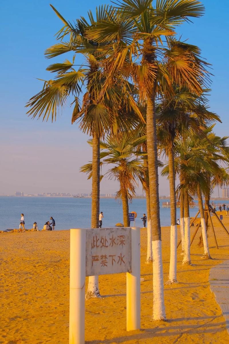 南昌夏季约会圣地,浪漫风情，尽享夏日时光