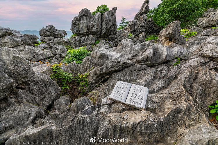 南昌岩石公园,城市绿肺中的自然奇观