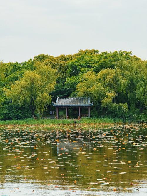 南汇三灶,探寻上海滩的生态绿洲，感受自然与人文的和谐共生