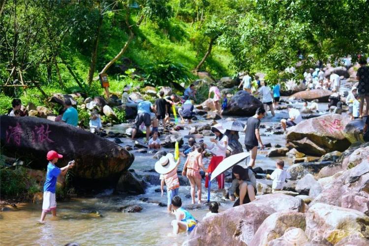 厦门乡间避暑胜地,感受田园风情，尽享清凉夏日