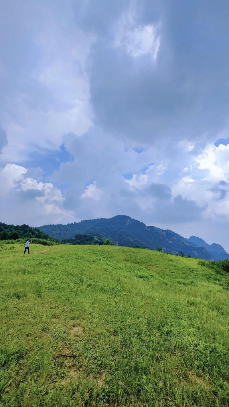 厦门老虎公园,生态旅游的绿色典范  第2张