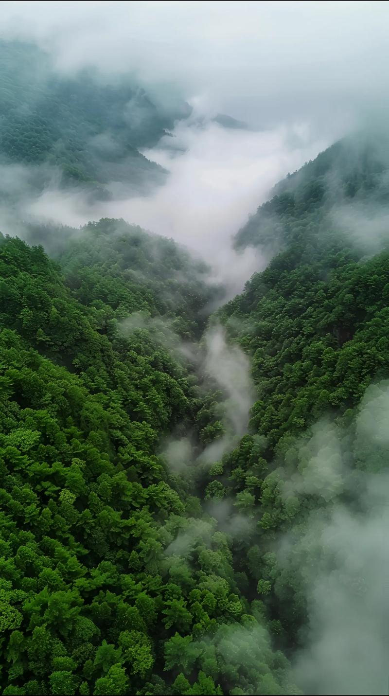 双飞之旅,探秘梦幻般的旅游胜地，开启心灵与自然的邂逅