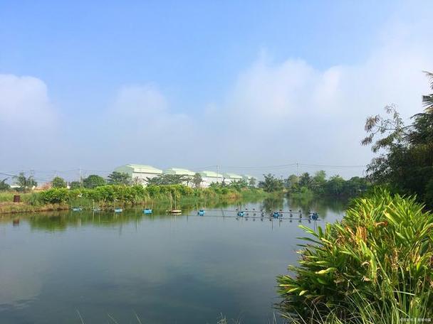 东莞碧水蓝天,绿色生态，休闲旅游的绝佳去处