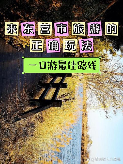 东营孤岛，钓鱼者的天堂,探秘这片渔歌晚唱的净土