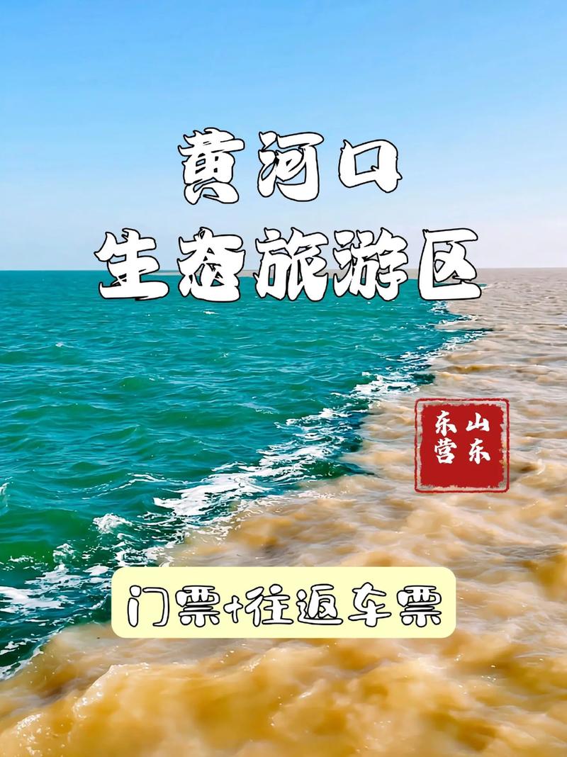 东营景区景点大全,探秘黄河入海口，感受生态旅游魅力