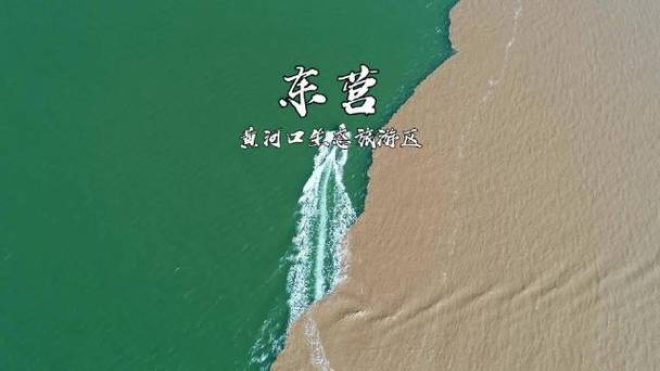 东营河口,探寻黄河入海的壮美画卷