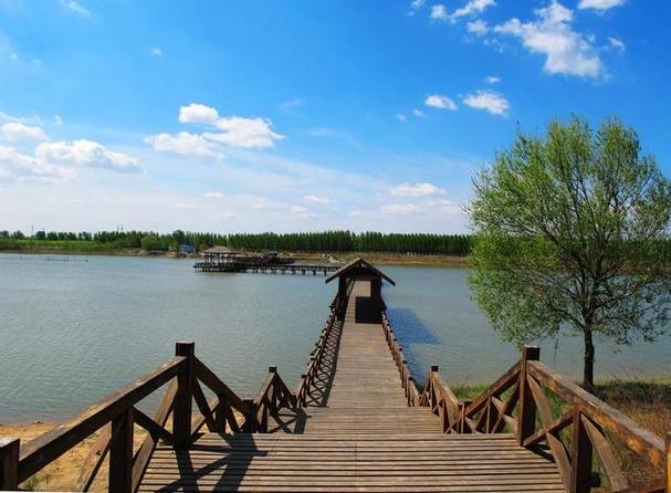 东营避暑胜地，夏日清凉之旅