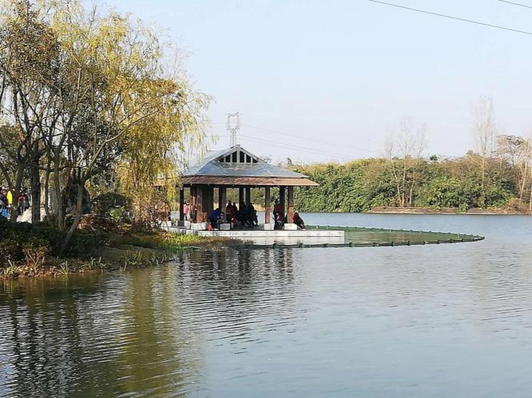 东郊北湖公园,城市绿洲，悠然生活画卷