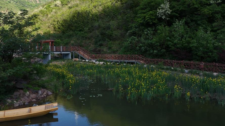 中原香山公园,天然氧吧中的绿意盎然，漫步自然之美