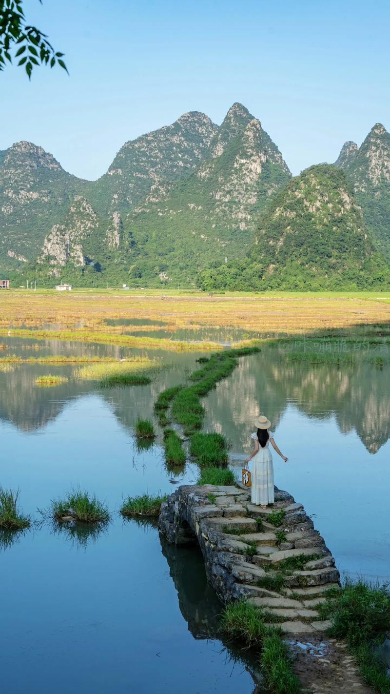 临桂景点介绍大全,探寻桂林山水之魂，感受千年文化底蕴