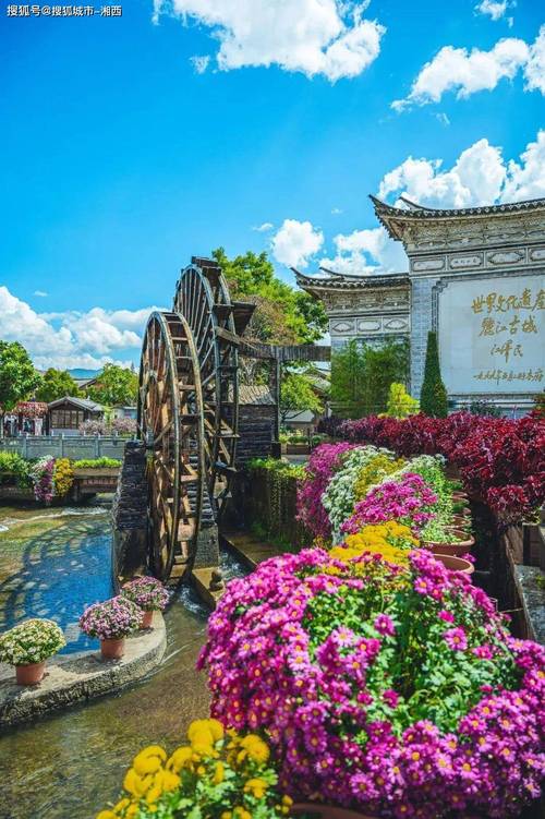 丽江鲜花景区,浪漫花海，感受大自然的魅力