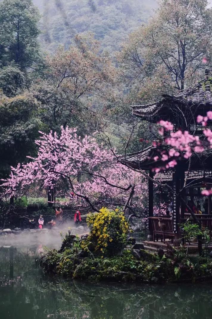 乐昌桃花,春风十里不如你，浪漫花海中的诗意邂逅