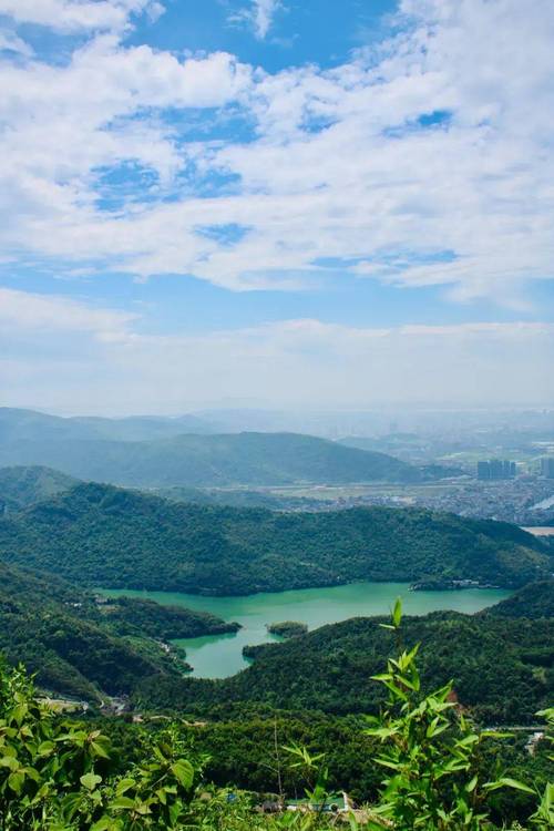 乐清观景台,自然与人文的完美融合之旅