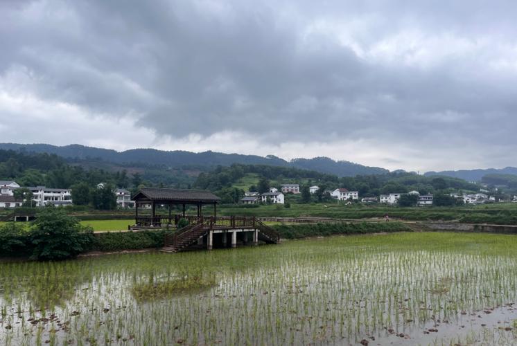 内江田园风光,一场与自然的和谐共鸣之旅  第2张