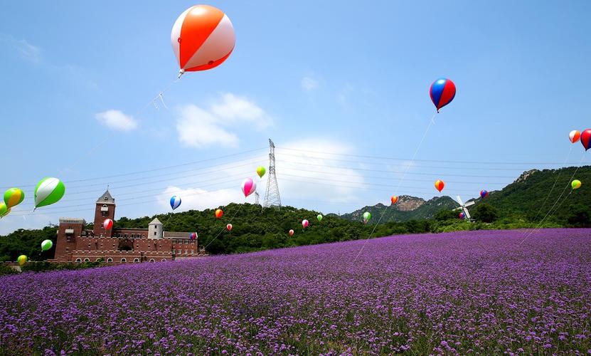 内黄薰衣草庄园,邂逅浪漫，探寻花的海洋