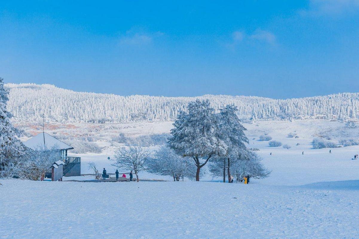 冬日里的冰雪童话_探寻重庆雪景的绝美画卷