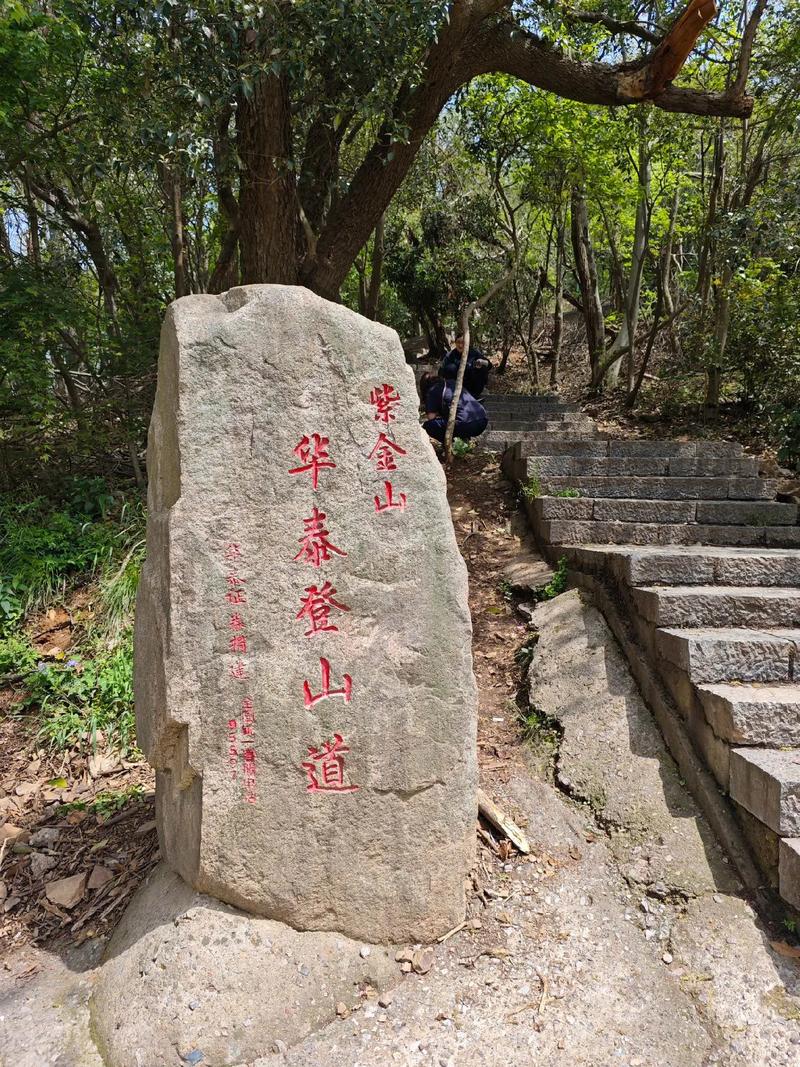 南京惊艳山景,探秘紫金山，感受自然之美  第2张