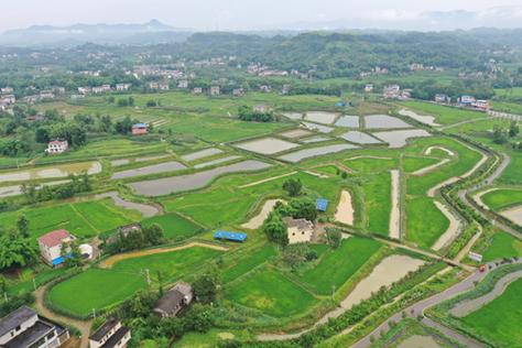 南充锦绣田园,探寻川北乡村的绿色发展奇迹