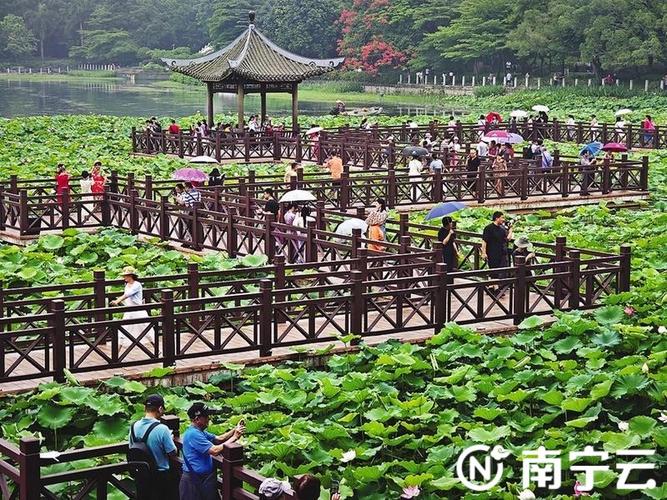 南宁戏水胜地，畅享夏日清凉之旅