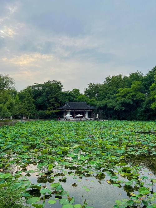 南宁莫愁湖公园,绿意盎然的人间仙境