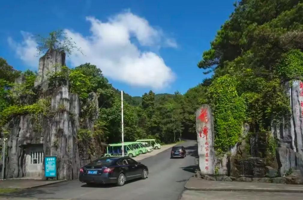 南宁龙潭公园,绿意盎然的都市绿洲，探寻历史与现代的交融