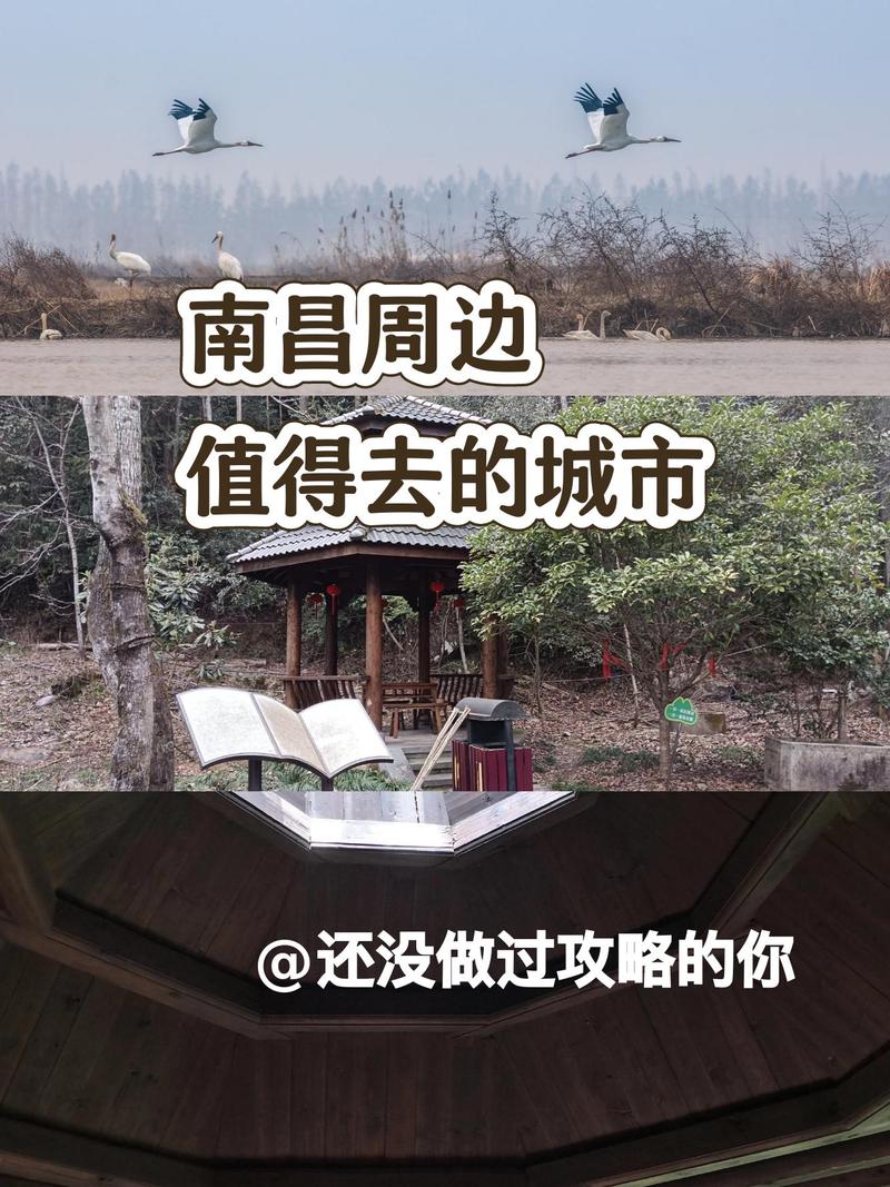 南昌动车站,历史文化与现代文明的交融之地