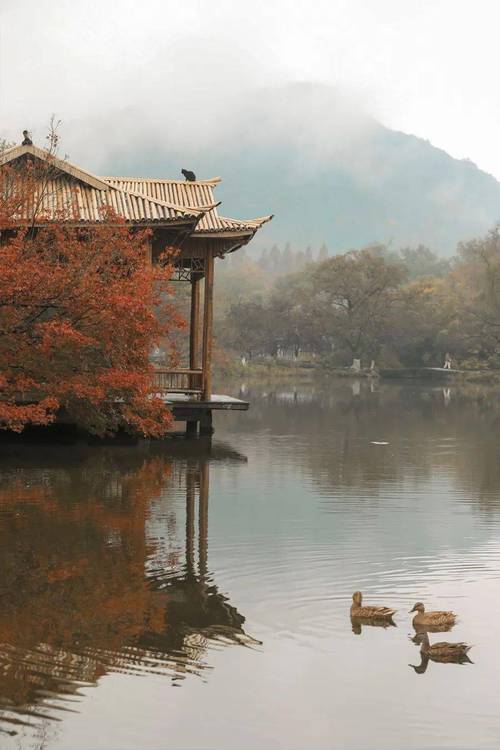 南昌秋风萧瑟,探寻秋意浓重的古韵美景