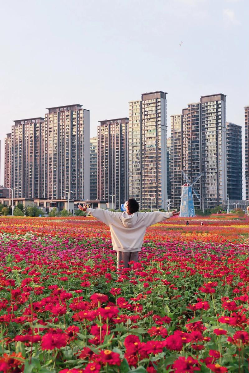 南昌玫瑰小镇,浪漫花海中的诗意栖息地