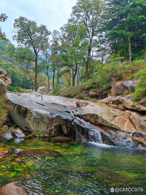 厦门群山公园,隐匿于闹市中的绿洲，感受大自然的温柔呼唤