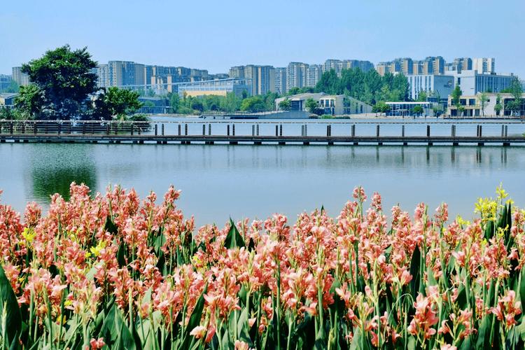 双流湖畔公园,绿意盎然的都市休闲胜地