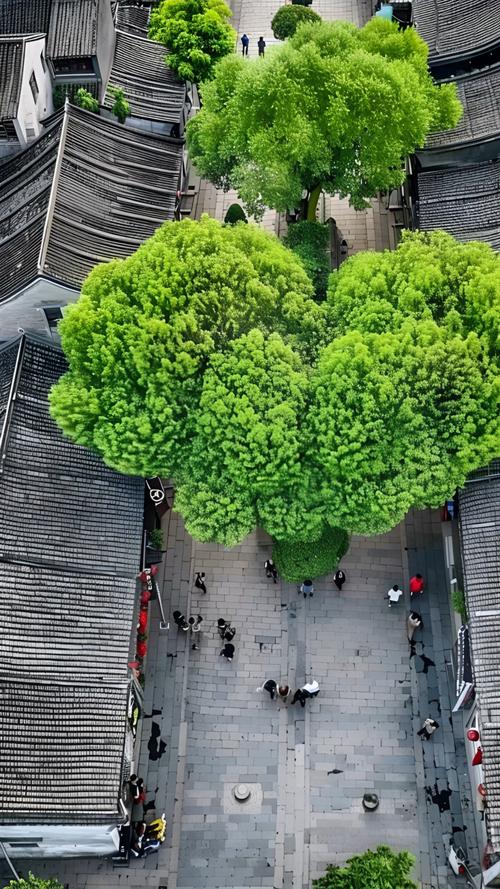 古城花园,岁月沉淀下的绿色瑰宝