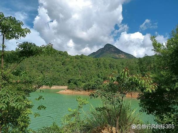 台山公园,自然与人文的完美融合，探寻海滨城市的绿色秘境