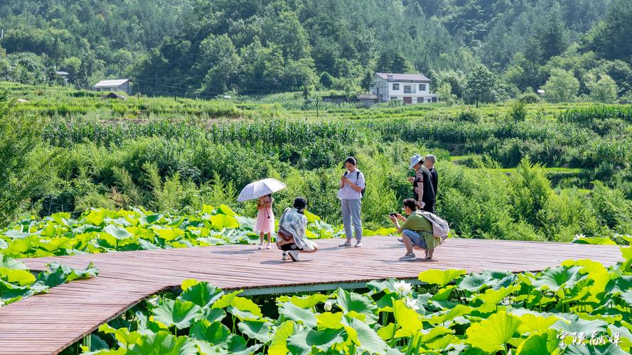 叶县农村,探寻自然之美，体验田园风情  第2张