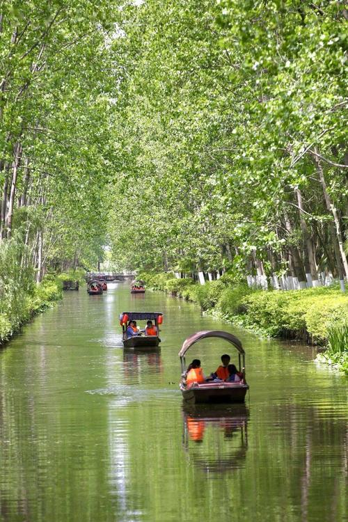 合肥彩虹之旅,探寻城市之光下的美丽风景  第2张