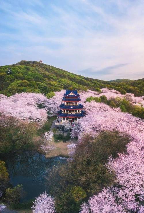 吉首樱花公园,春日里的浪漫诗篇，湖南的赏樱圣地