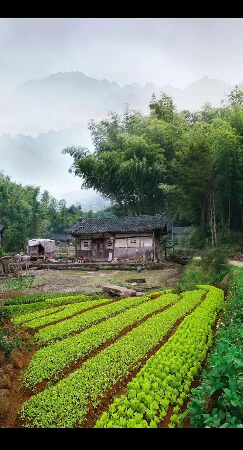 坝头山村,隐匿于山水间的世外桃源