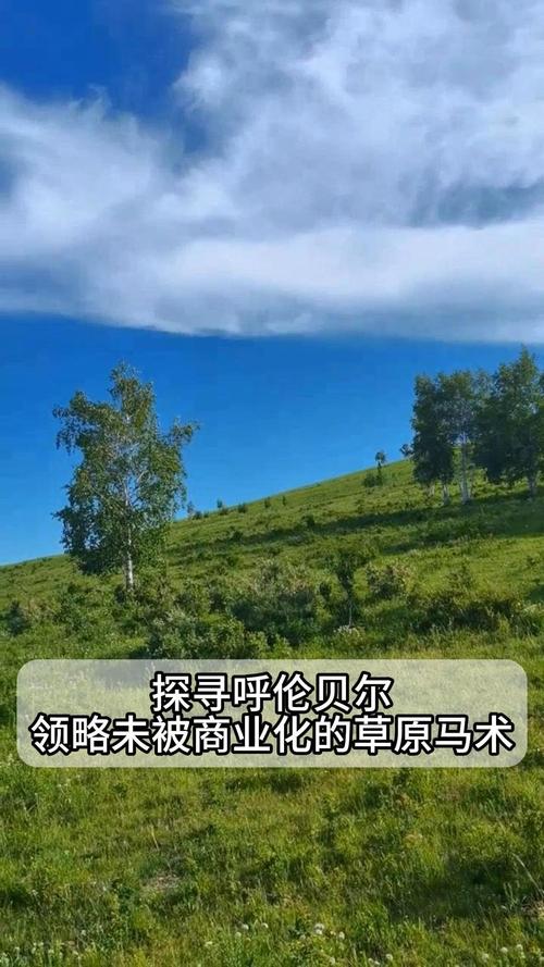 塞罕坝极光寺,探寻神秘草原的信仰之光