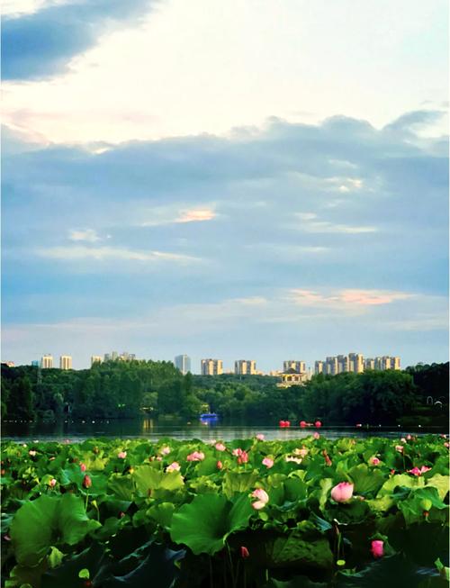 夏日炎炎，衡阳风光无限_探寻衡阳夏季必游景点