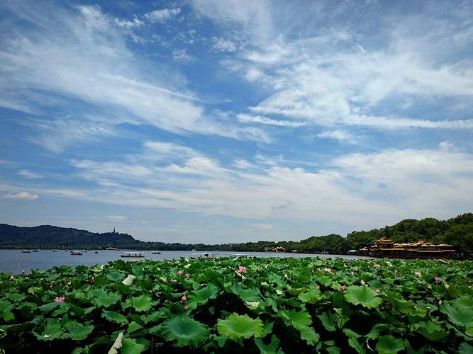 夏日炎炎，阜阳美景尽收眼底_探索阜阳夏日游玩胜地