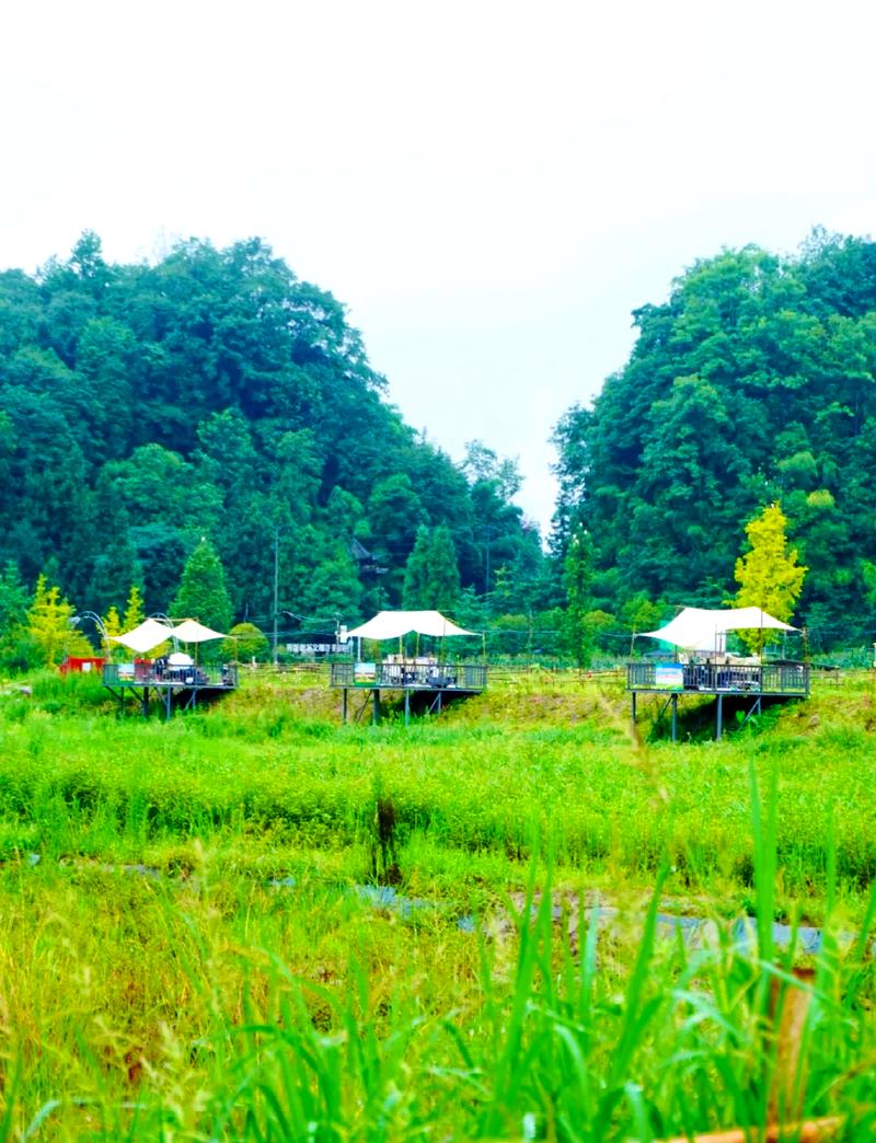 夏日炎炎，雅安周边纳凉胜地，避暑休闲两不误