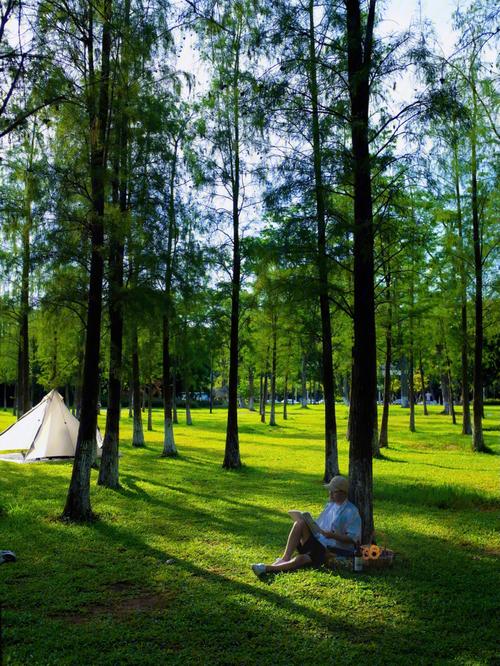 夏日避暑天堂,广州野餐胜地大盘点