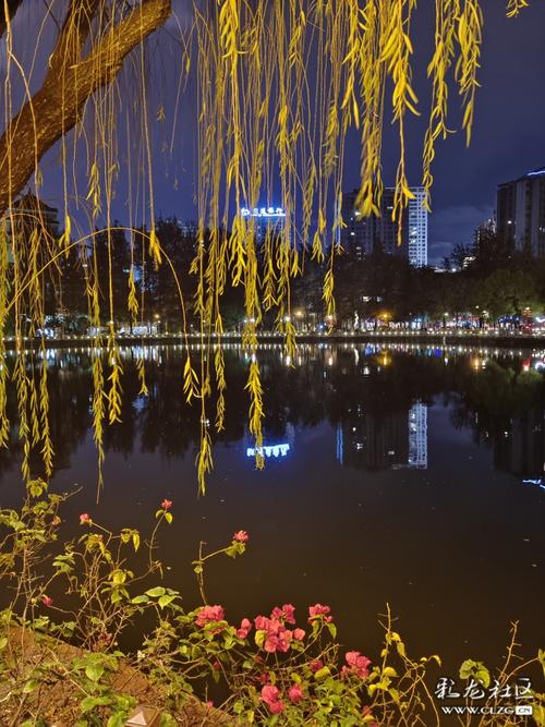 夜幕降临，公园景致如诗如画_探寻我国公园夜景的独特魅力