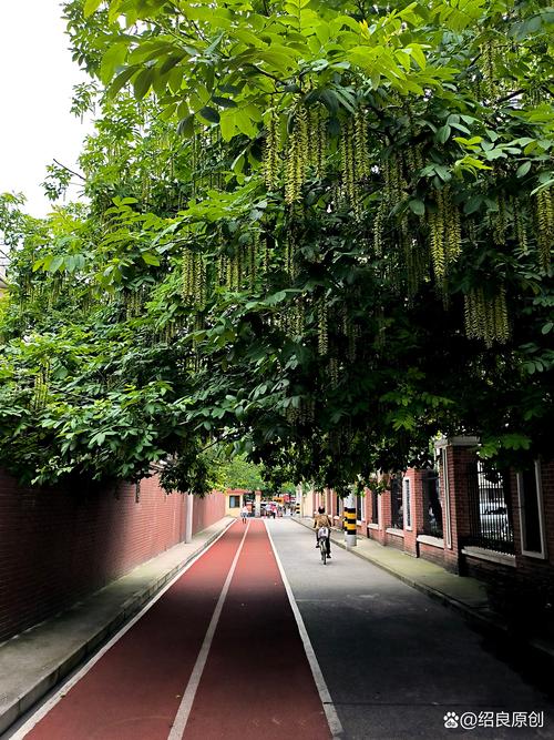 大同路,穿越时光的风景线